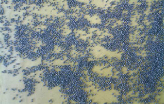 grenaillage-de-sol-applic-resine33-2